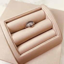 AN BETUME FALANGE CONCHA