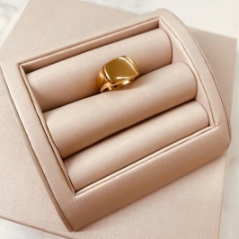 AN OURO DEDINHO RETANGULO