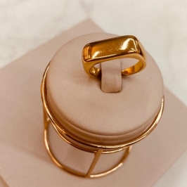 AN OURO QUADRADO RETANGULAR LISO