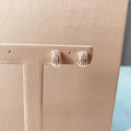 BR PRATA ARGOLA MICROCRAVEJADA TRADICIONAL P