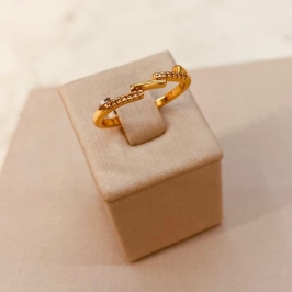 AN OURO DEGRAU LISO E CRAVEJADO