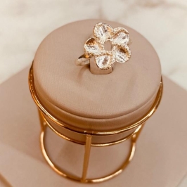 AN PRATA FLOR DETALHES