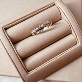 AN PRATA ARO DETALHADO