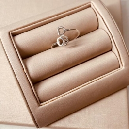 AN PRATA PATA E CORAÇÃO