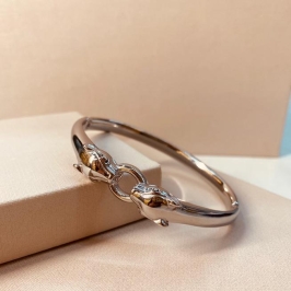 BRAC AÇO PRATA ONÇA