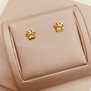 BR OURO PATA PET DOG