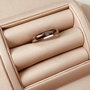 AN AÇO ALIANÇA LISA 4MM