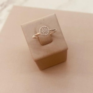 AN PRATA CHUVEIRINHO