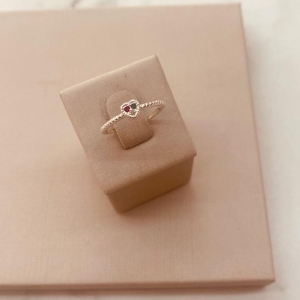 AN PRATA CORAÇÃO COLOR