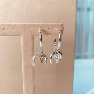 BR PRATA ARGOLA FINA PG LUA OLHO