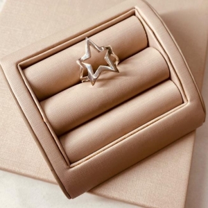 AN PRATA ESTRELA GRANDE VAZADA