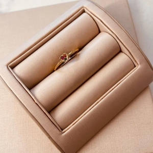 AN OURO CORAÇÃO COLOR