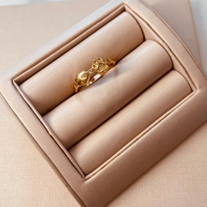 AN OURO CORAÇÃO PATA PET