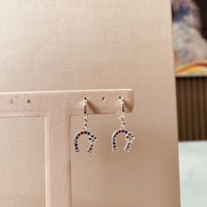 BR PRATA ARGOLA FERRADURA COLOR