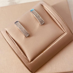 BR PRATA EARHOOK MICRO CRAVEJADO