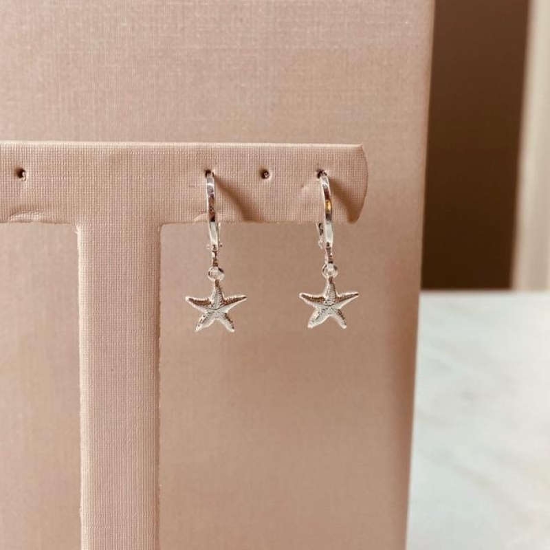 BR PRATA ARGOLA FINA PG ESTRELA DO MAR