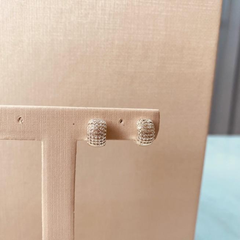 BR PRATA ARGOLA MICROCRAVEJADA TRADICIONAL P