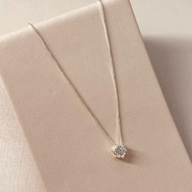 CL PRATA PONTO DE LUZ DETALHADO