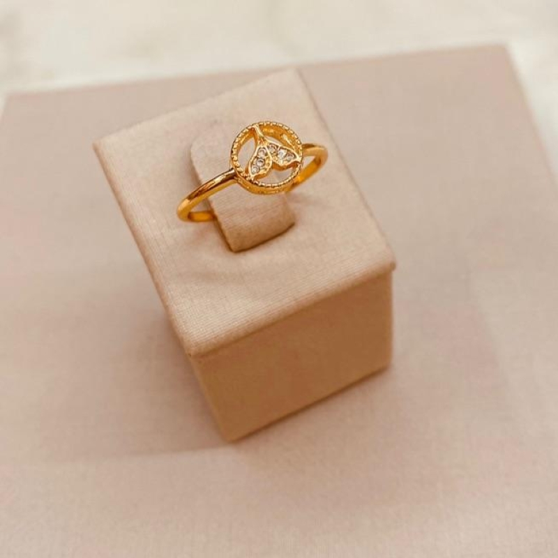 AN OURO CIRCULO CALDA DE SEREIA MICRO CRAVEJADO