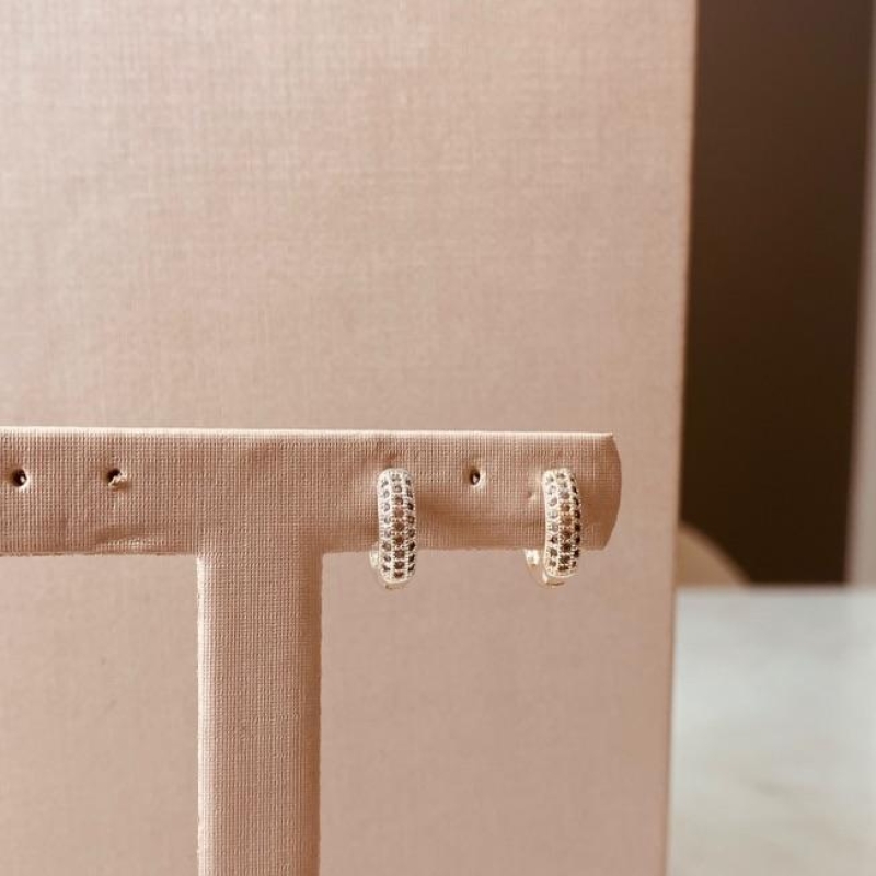 BR PRATA ARGOLA MICROCRAVEJADA TRADICIONAL