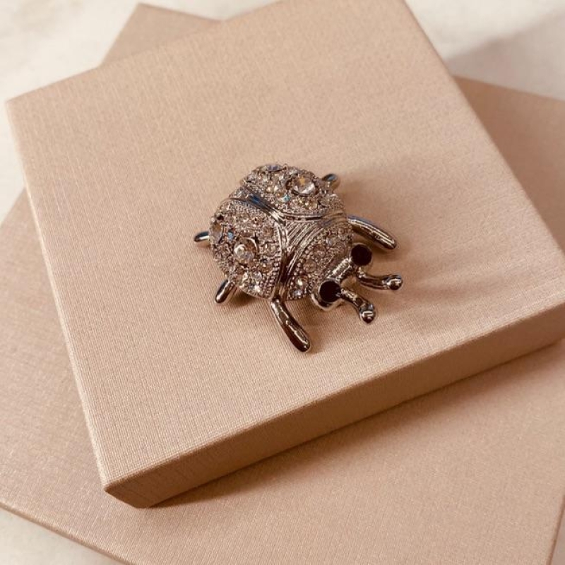 BROCHE PRATA JOANINHA
