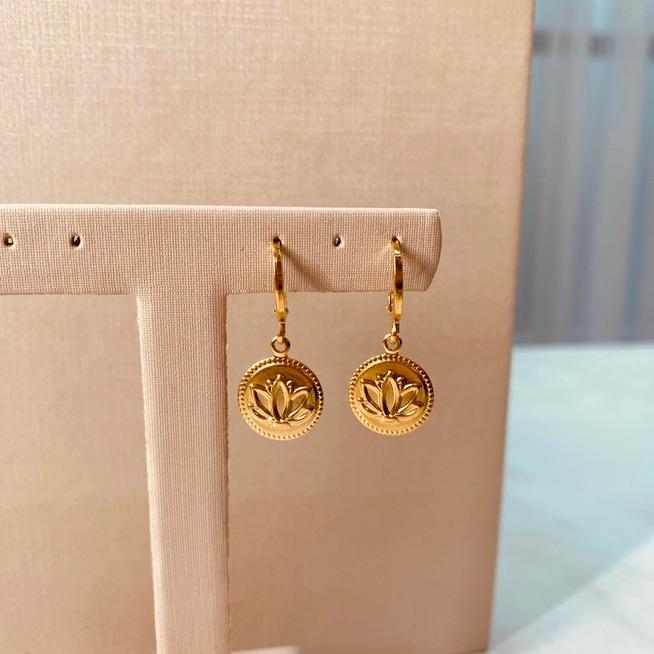 BR OURO ARGOLA FINA LOTUS