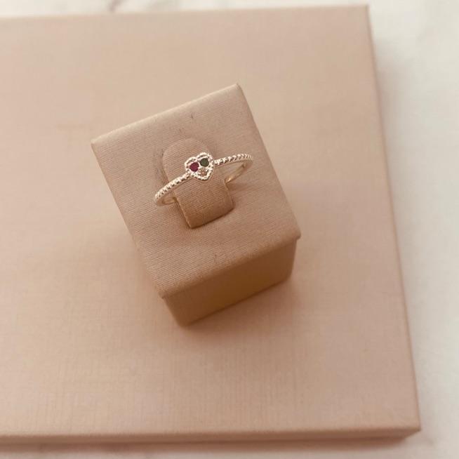 AN PRATA CORAÇÃO COLOR