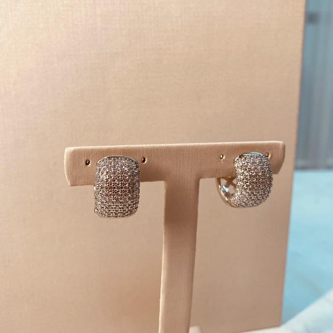 BR PRATA ARGOLA G LARGA MICRO CRAVEJADA